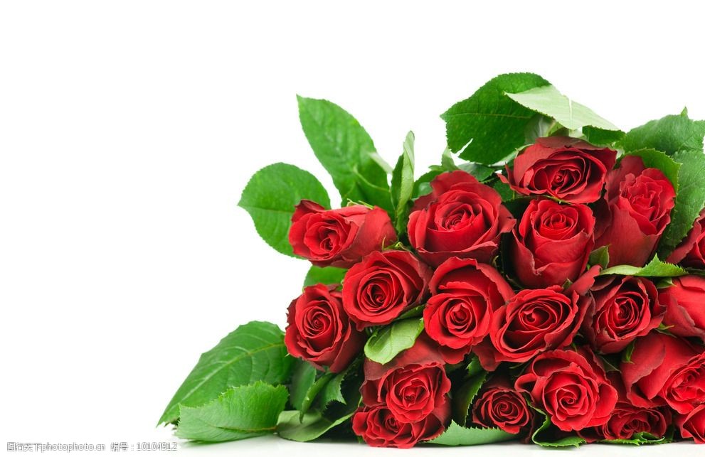 一束红色玫瑰花图片