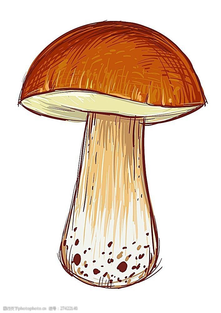 卡通蘑菇插画设计