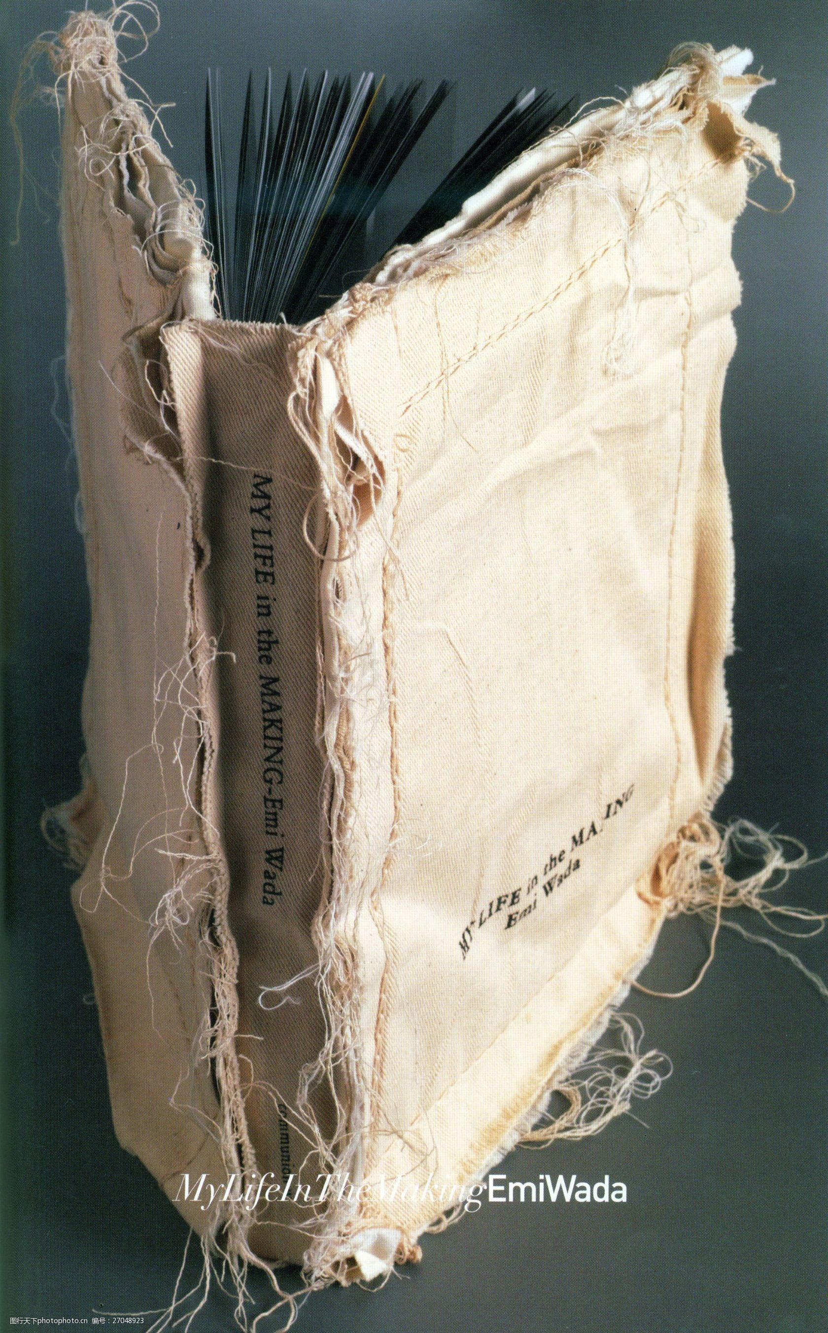 装帧设计书籍装帧版式设计_0109