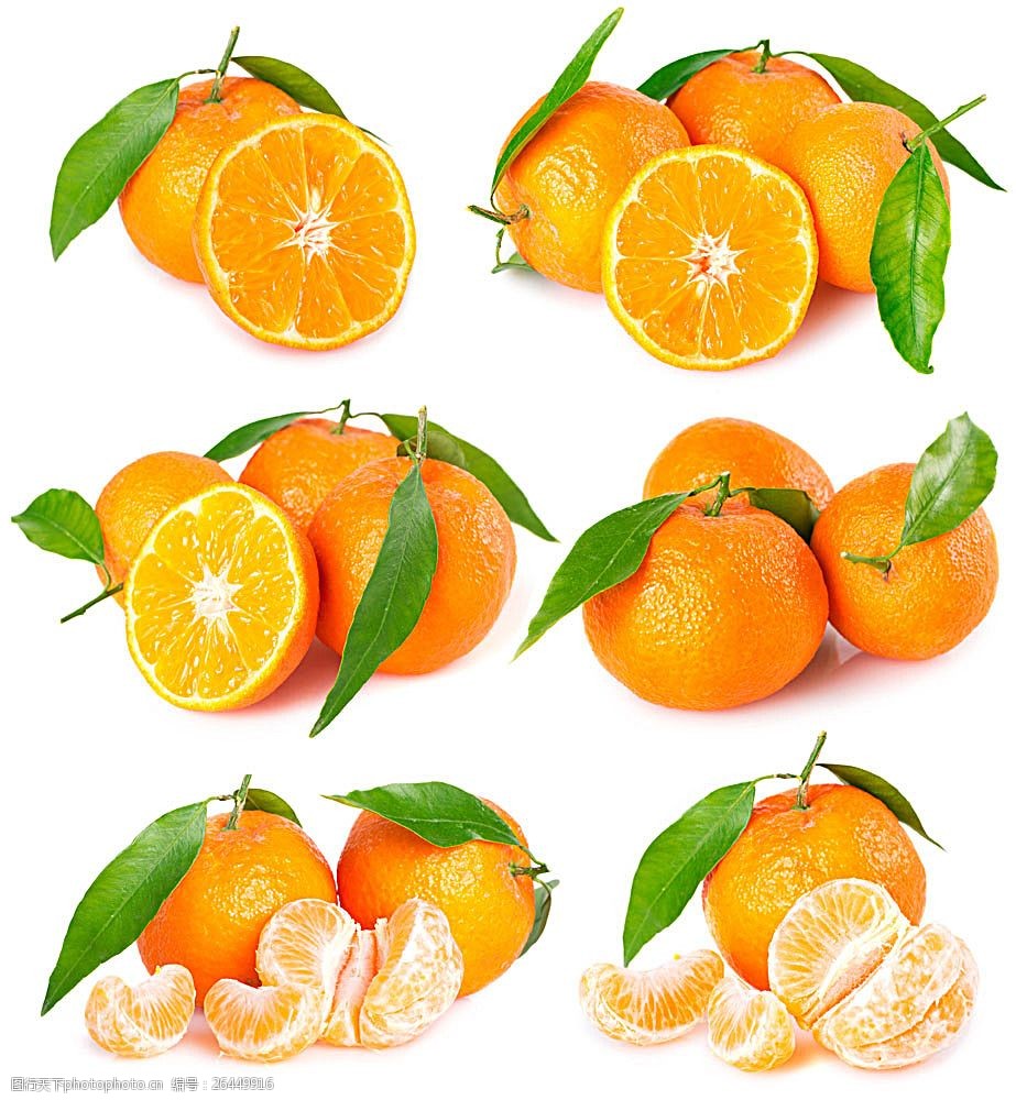 高清橙子摄影
