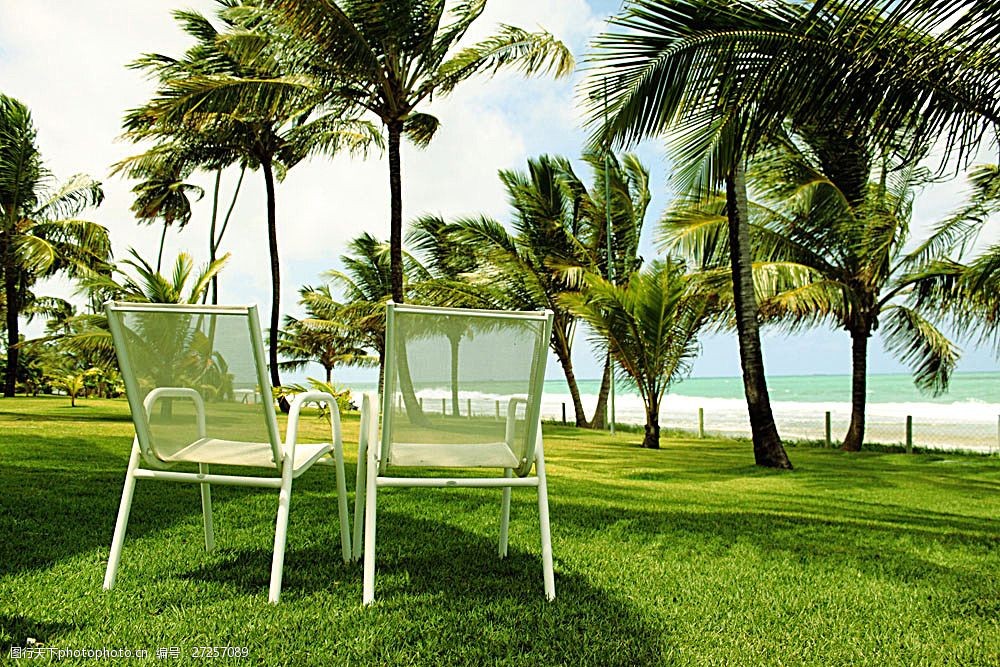 设计图库 高清素材 自然风景 关键词:椰树与椅子摄影高清 美丽风景