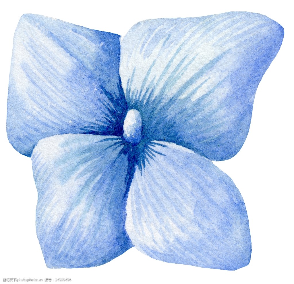 关键词:紫色四花瓣花朵图片素材 紫色 四瓣 花瓣 花朵 图片素材 png