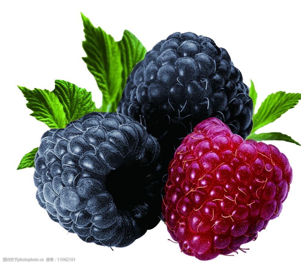 树莓psd素材图片