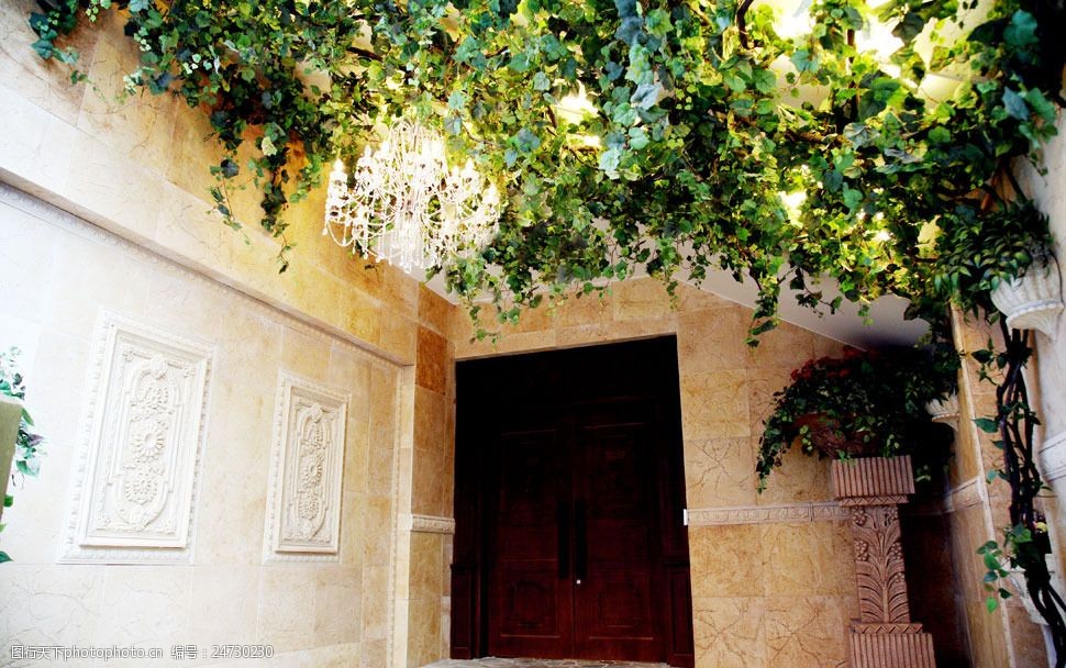 室外树藤与灯饰影楼摄影背景图片