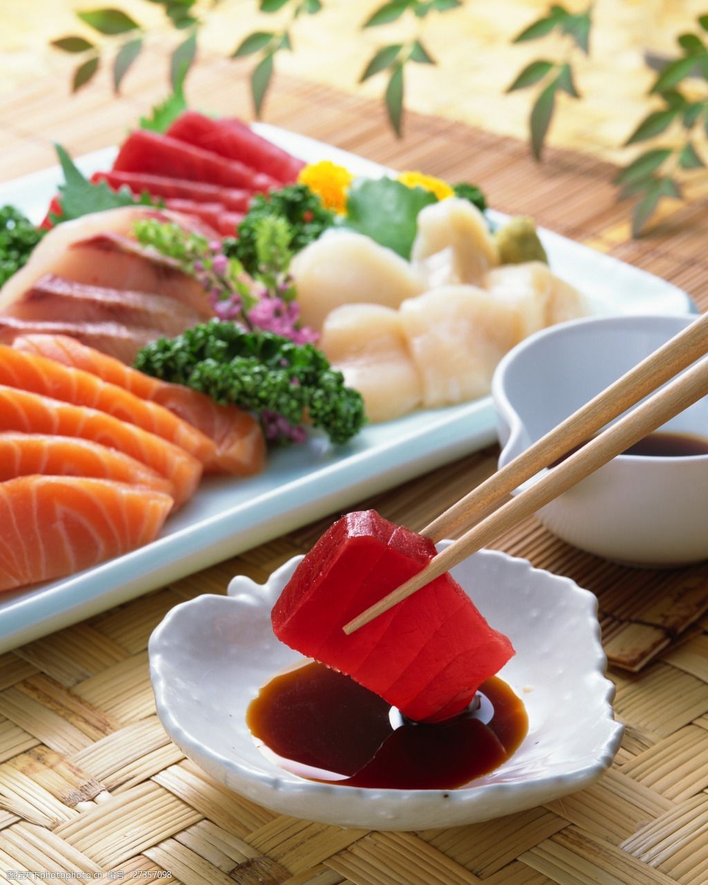 红金枪鱼摄影图片