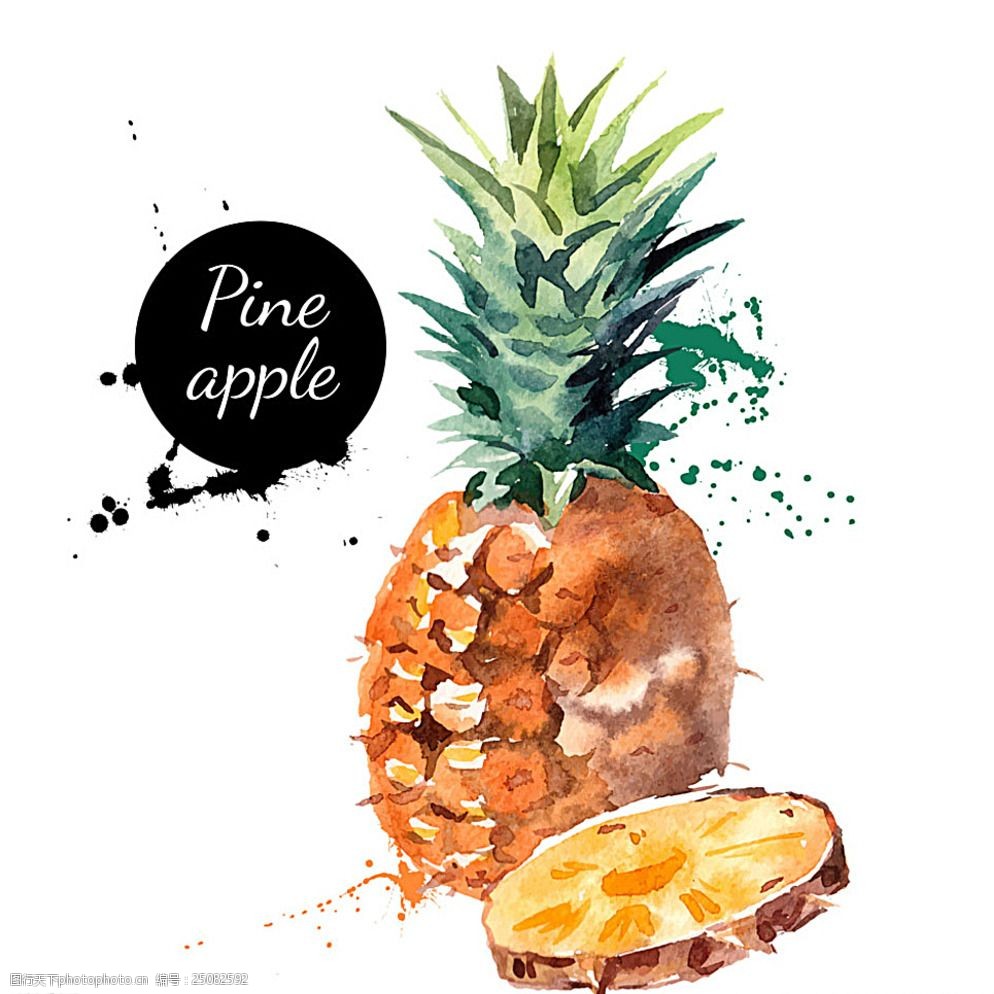 水果水彩菠萝矢量图图片