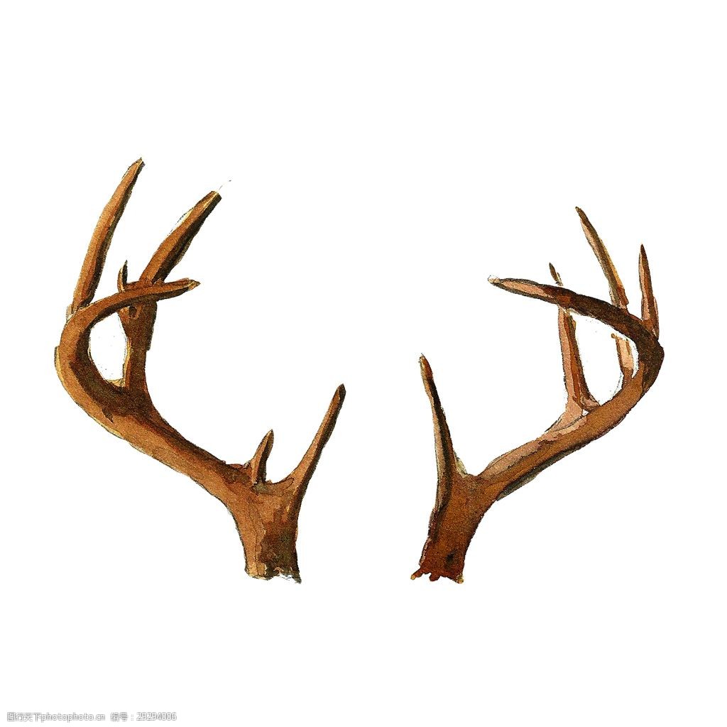 关键词:木纹鹿角psd源文件 psd源文件 动物 设计素材 直角 装饰素材