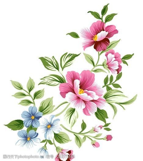 关键词:花草插图 花纹图案0168 花纹图案 设计素材 花草图案 植物插图
