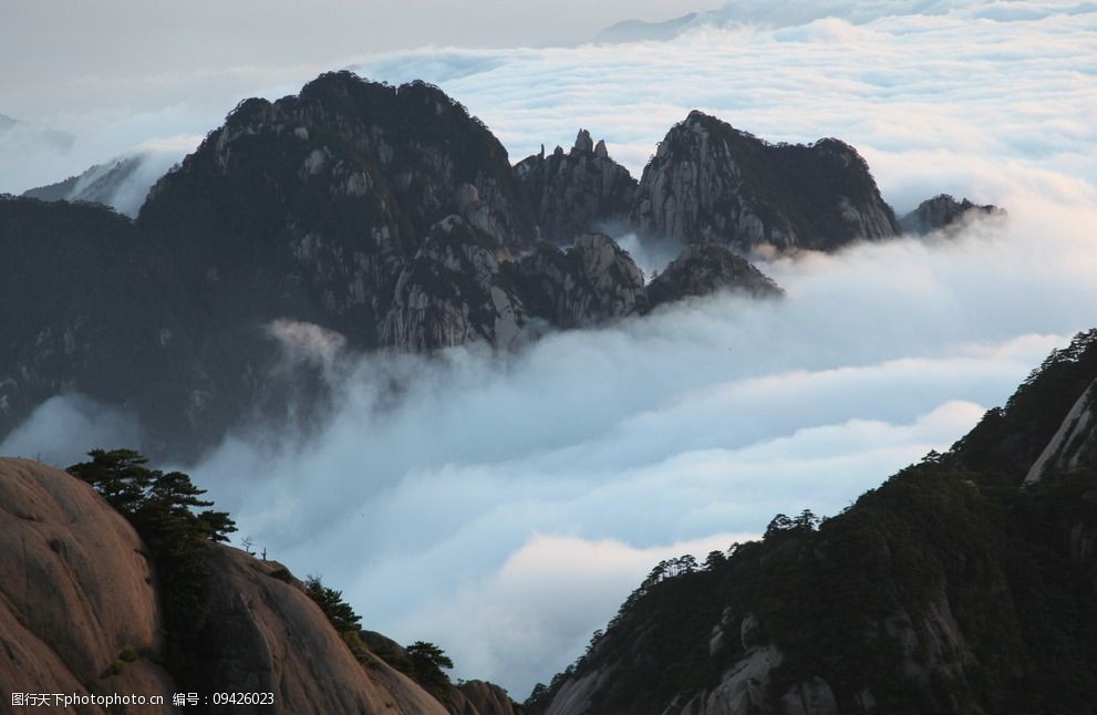 黃山雲海圖片