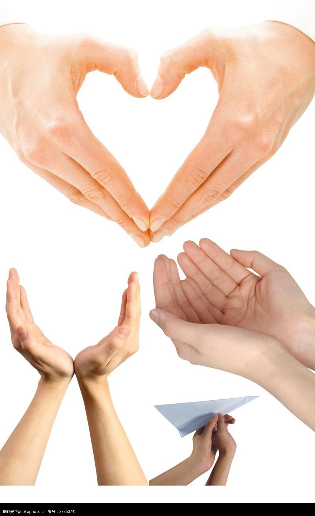 关键词:心形手势psd素材 放飞希望手势 各种手势 捧东西手势 人物素材