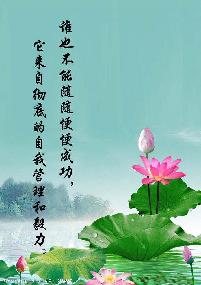 展板素材莲花底图绿海图片