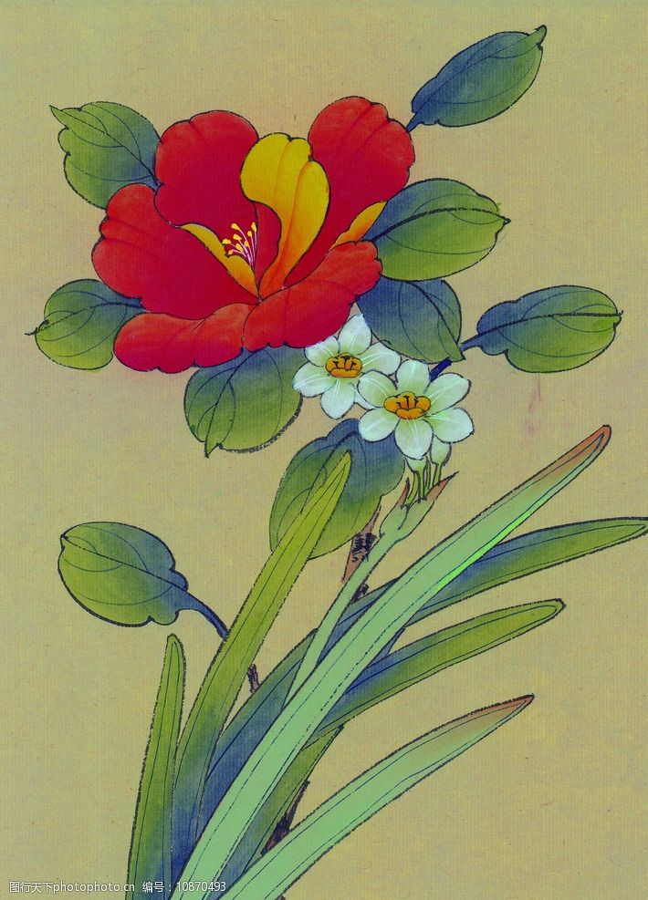 中国画花图片图片 图行天下素材网