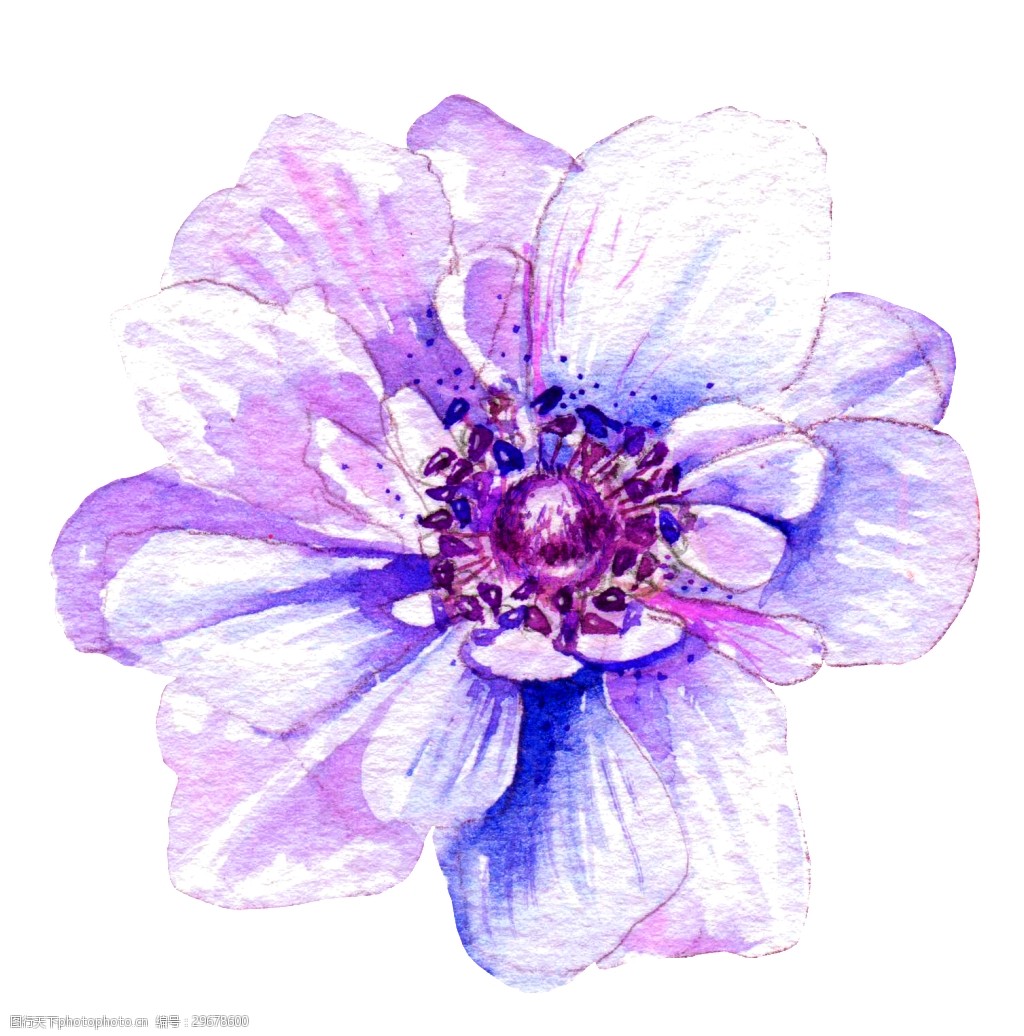 淡紫色水晶花透明素材png图片 图行天下素材网