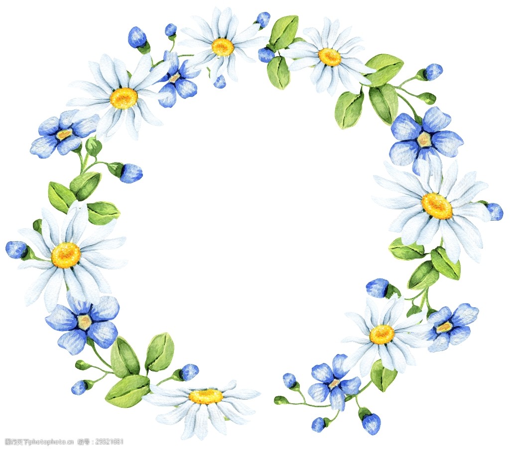 手绘小菊花花环png透明素材