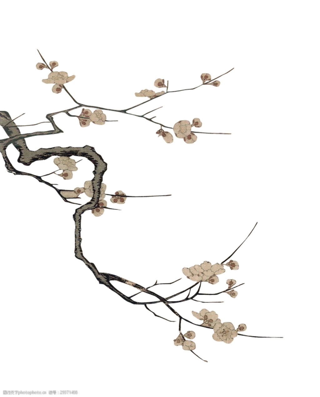 水墨梅花透明装饰素材