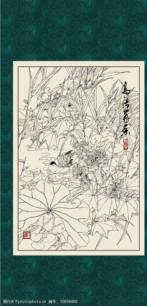 白描芙蓉图片