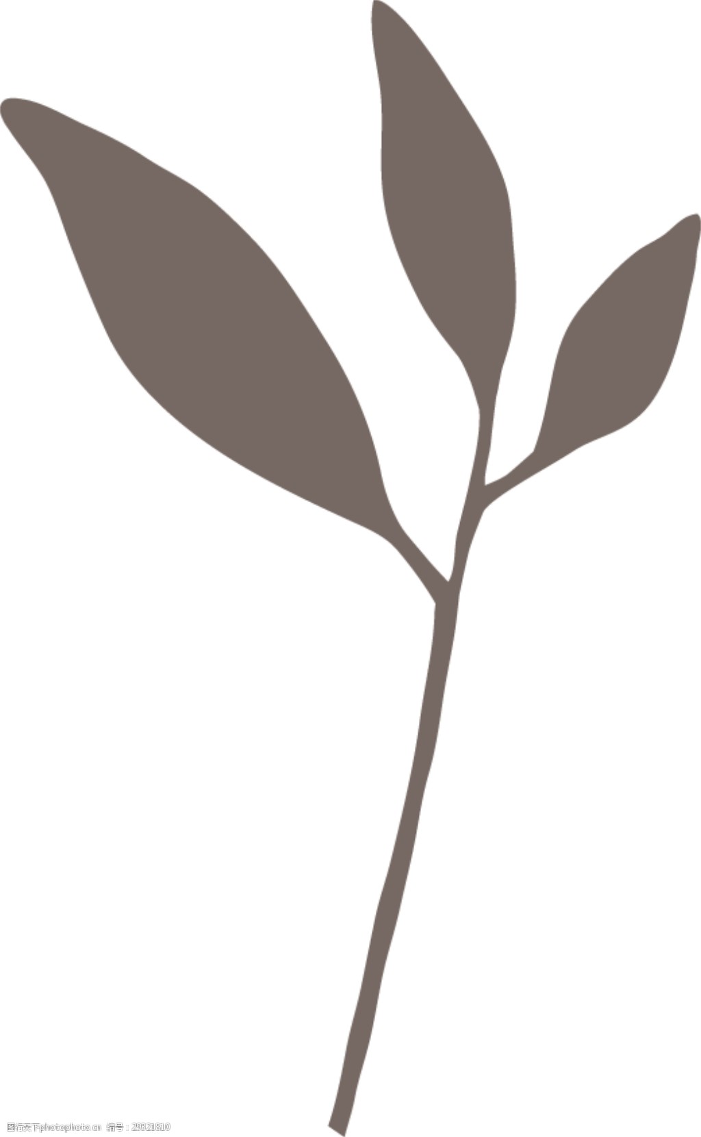 咖啡枝叶扁平化矢量素材