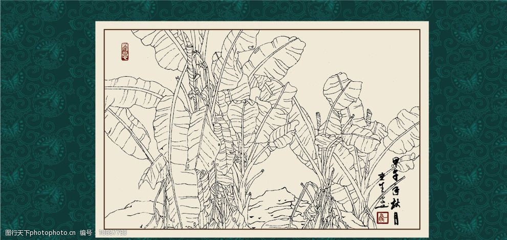 白描 线描 绘画 手绘 国画 印章 植物 花卉 工笔 gx150041 白描芭蕉