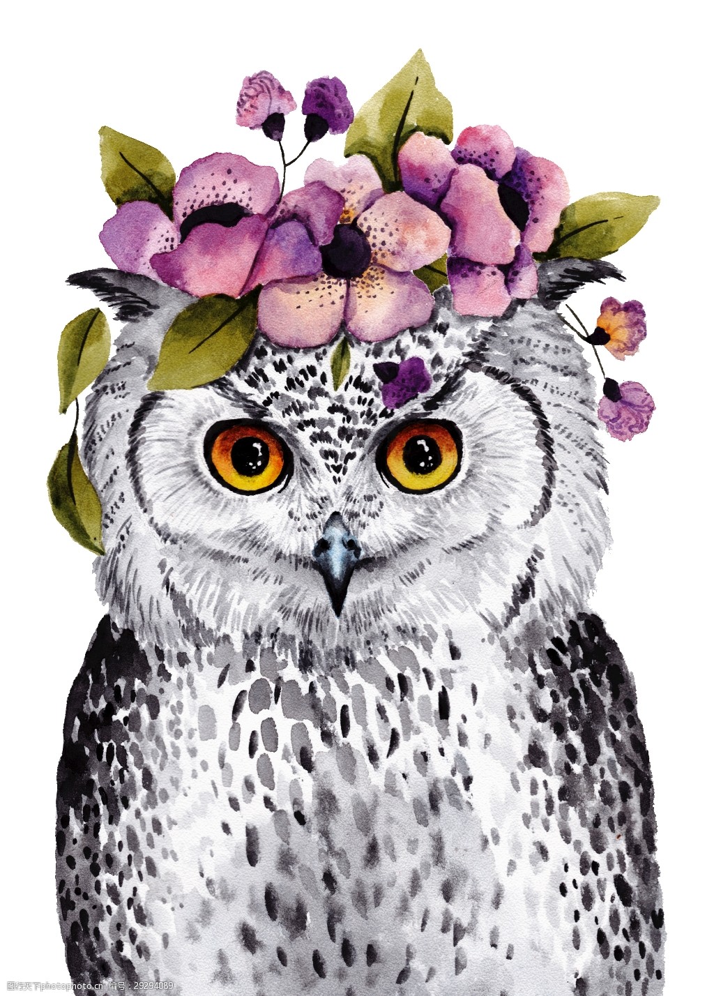 头戴鲜花灰色猫头鹰png透明素材