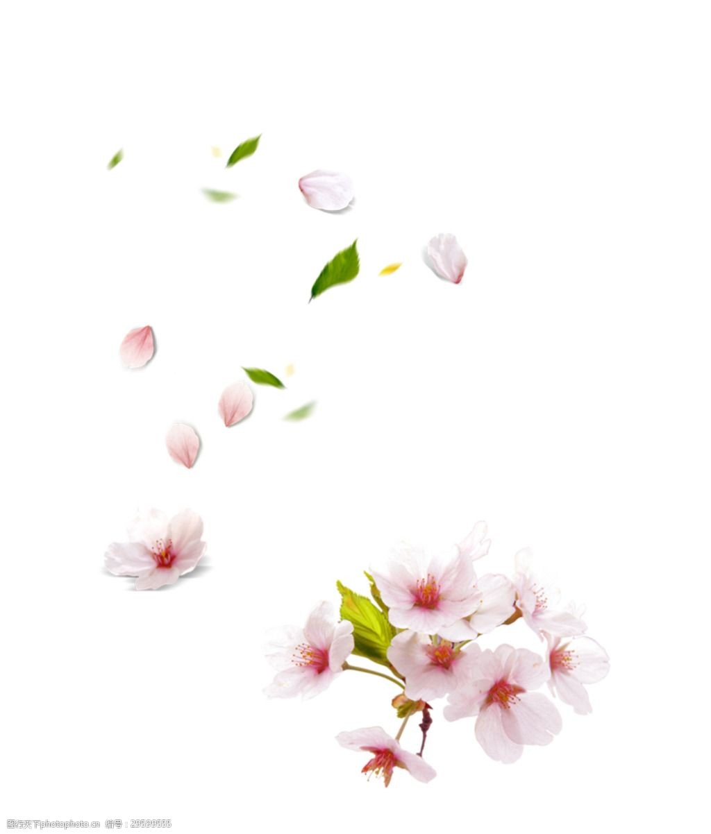 粉色花素材图案图片-图行天下图库