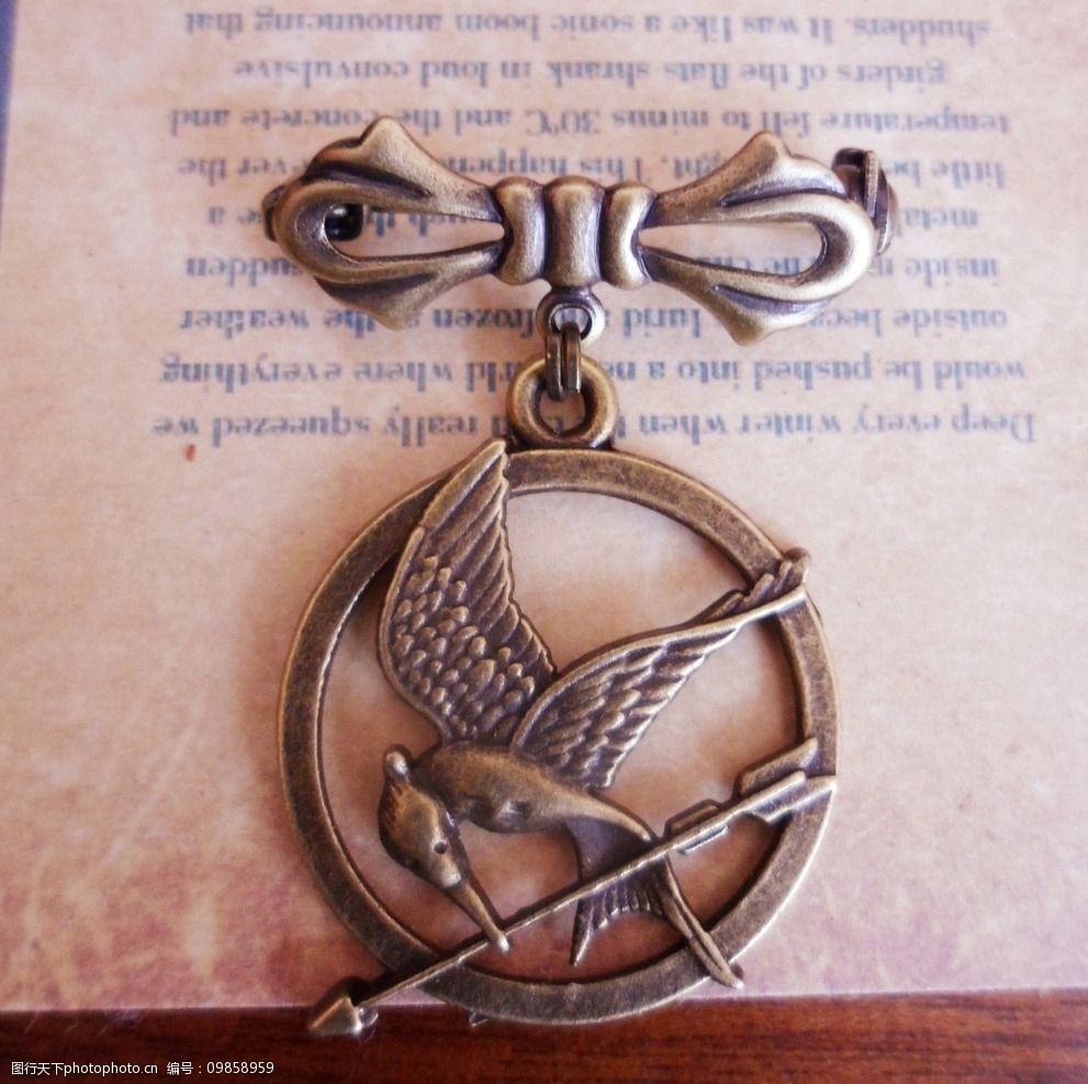 嘲笑鸟标志图片