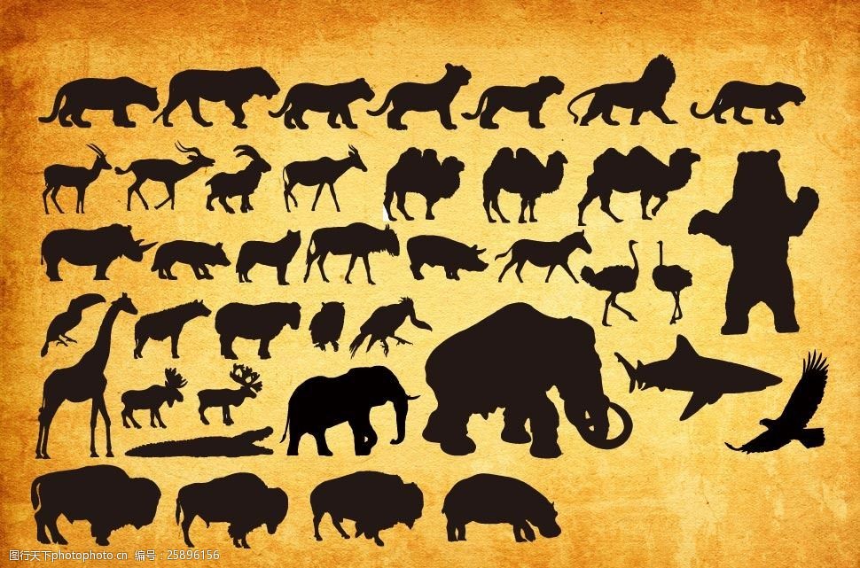 各种动物剪影ps形状