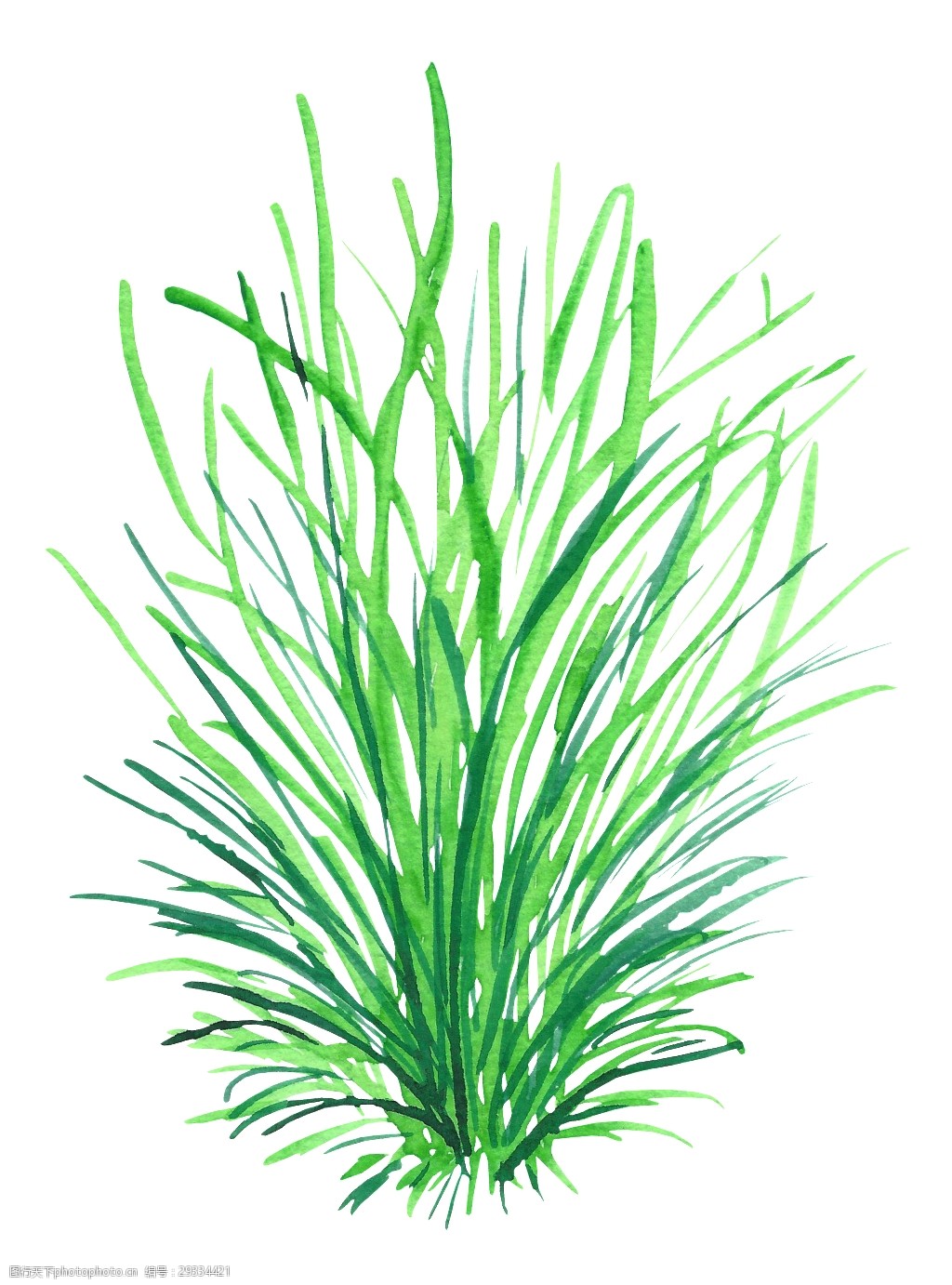 满绿海草透明装饰素材