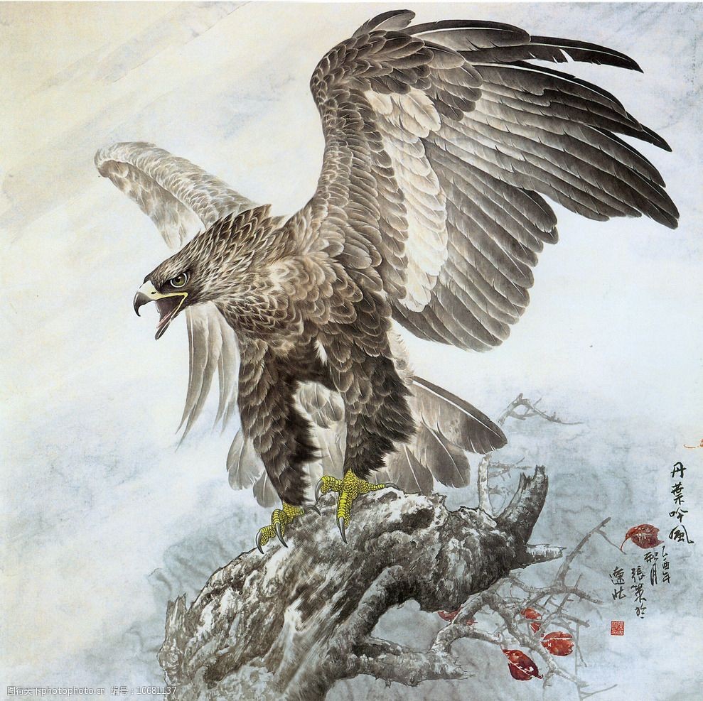 展翅翱翔的雄鹰的描写图片
