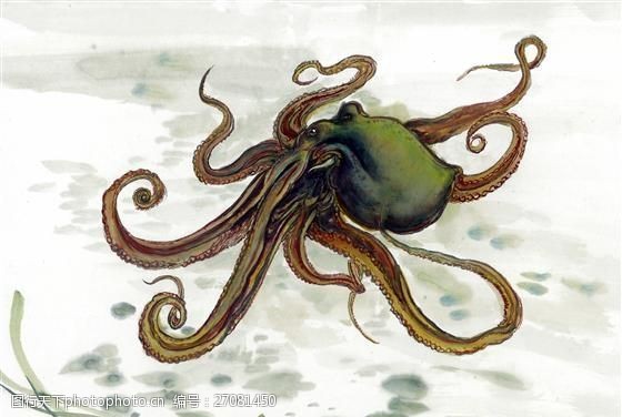 章鱼写意水族国画_0209