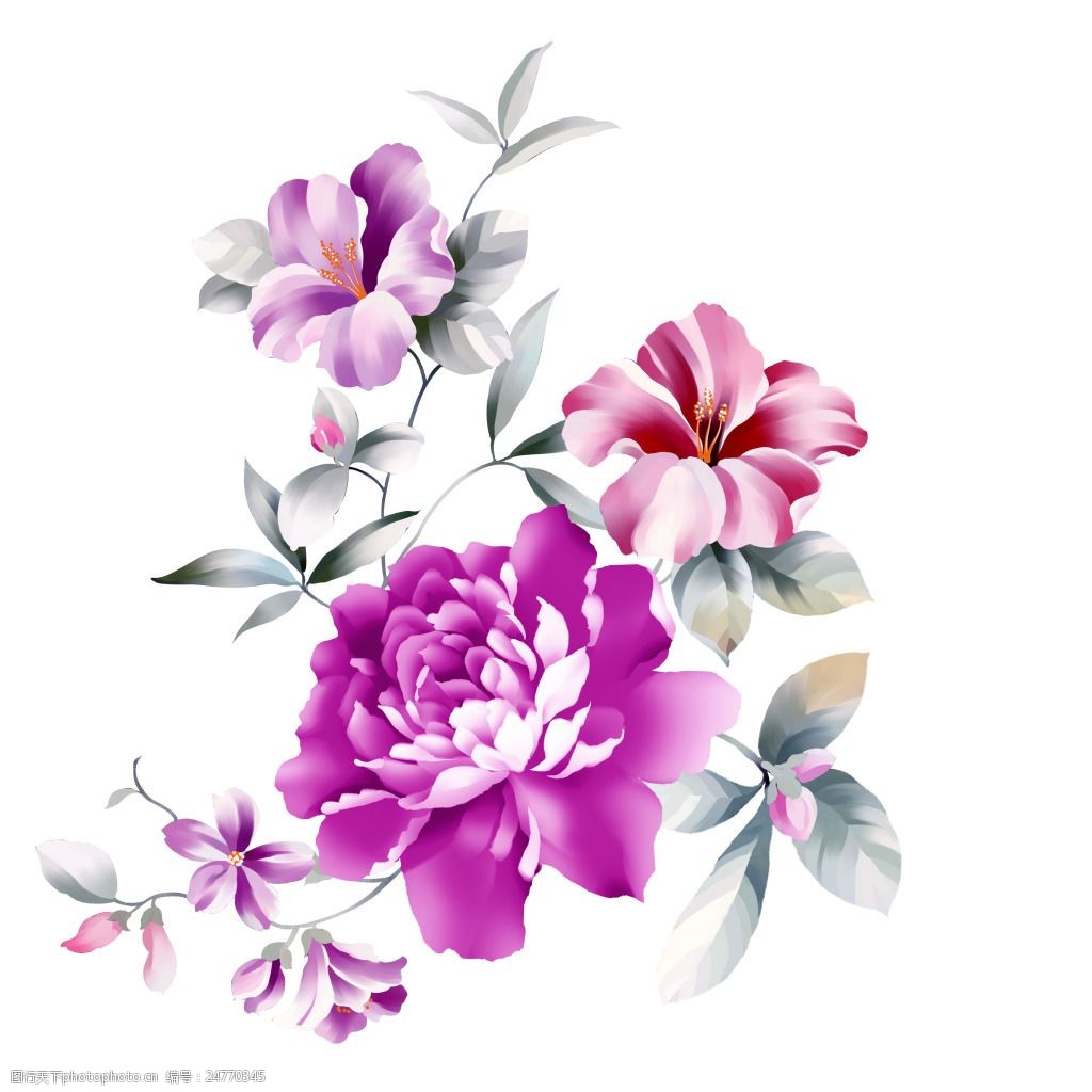 手绘花高清封面插画花水彩花