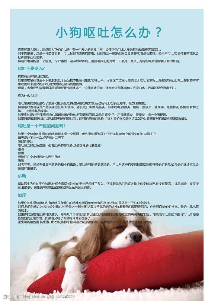 宠物医院展板 宠物 医院 展会软装 展板模板 广告设计 宠物小知识