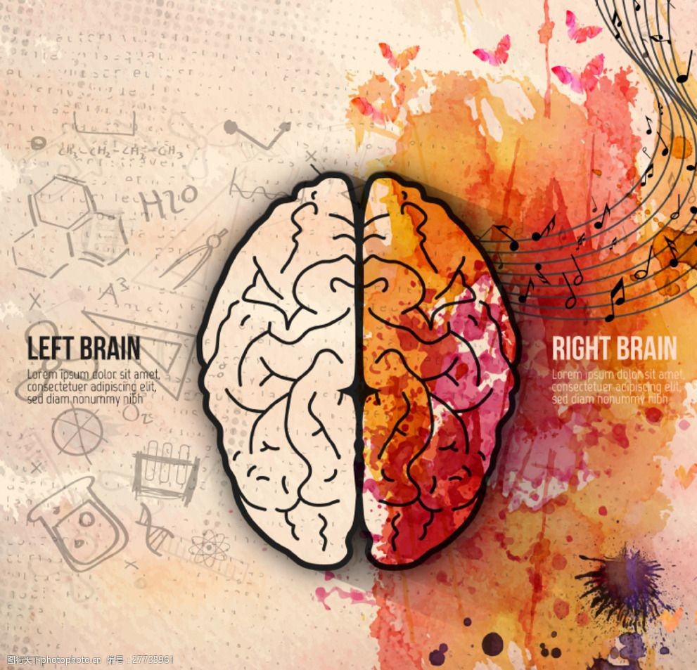 水彩大脑插画矢量素材