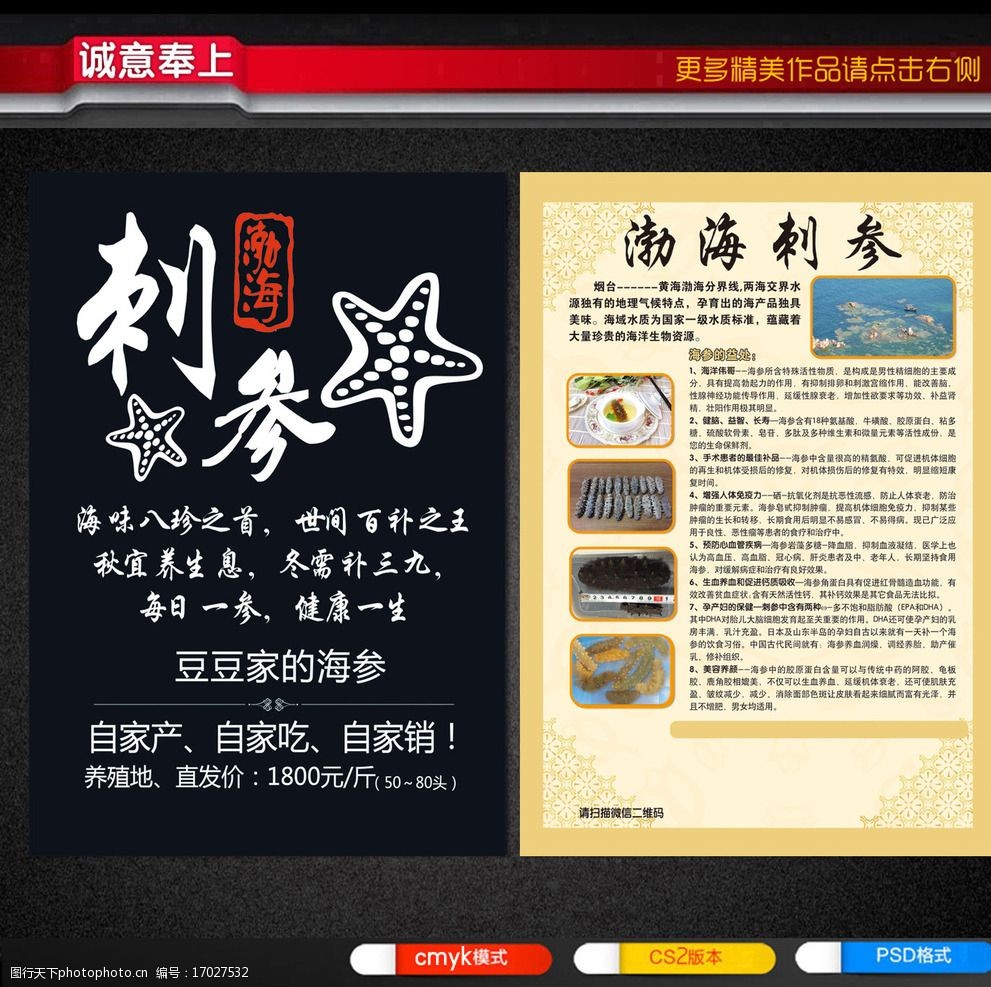 海参创意宣传单介绍图片