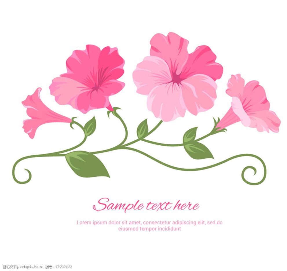 牵牛花 矮牵牛 花卉 粉色 粉色牵牛花 花卉图案背景花纹面料 设计