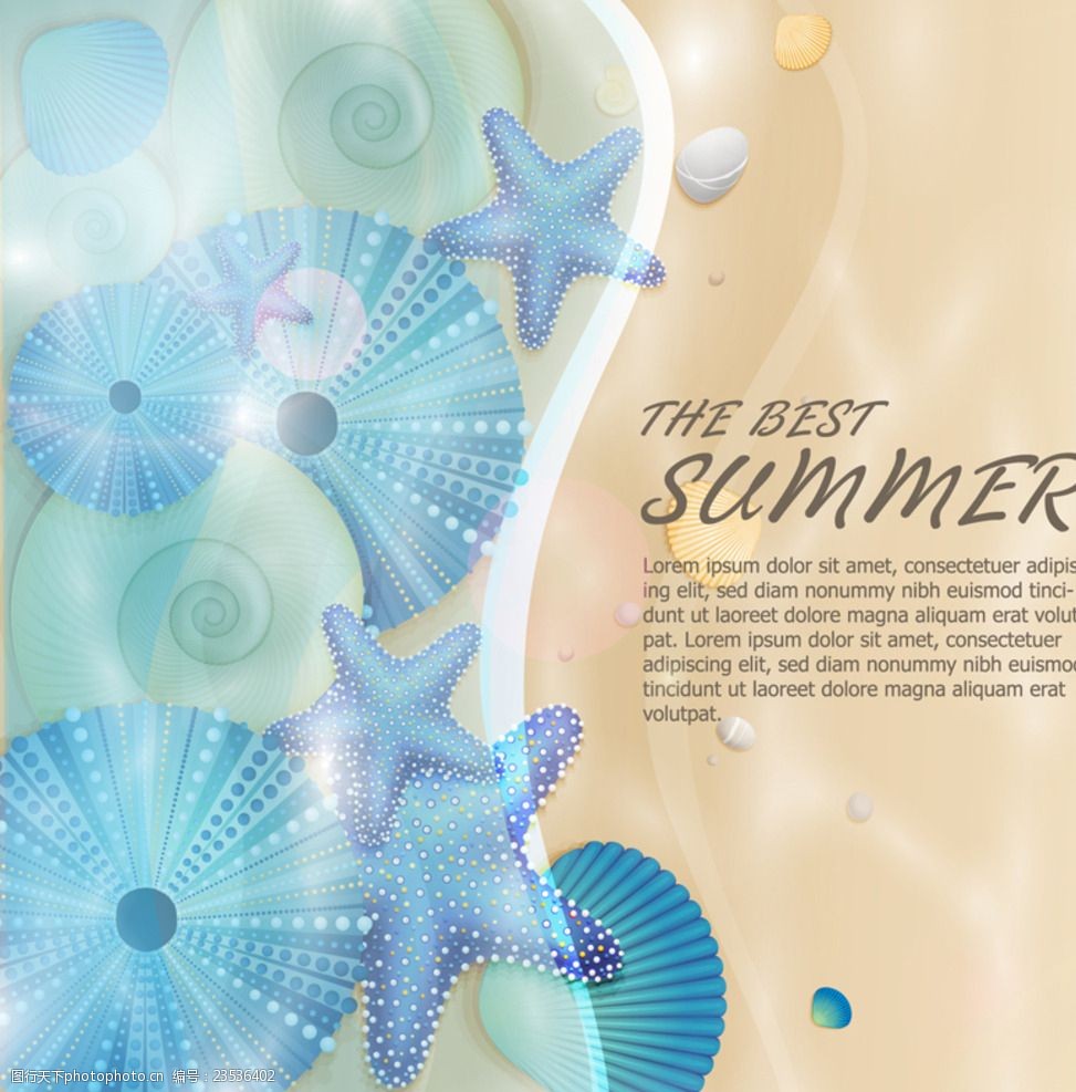 清澈海水中的贝壳矢量素材图片-图行天下图库