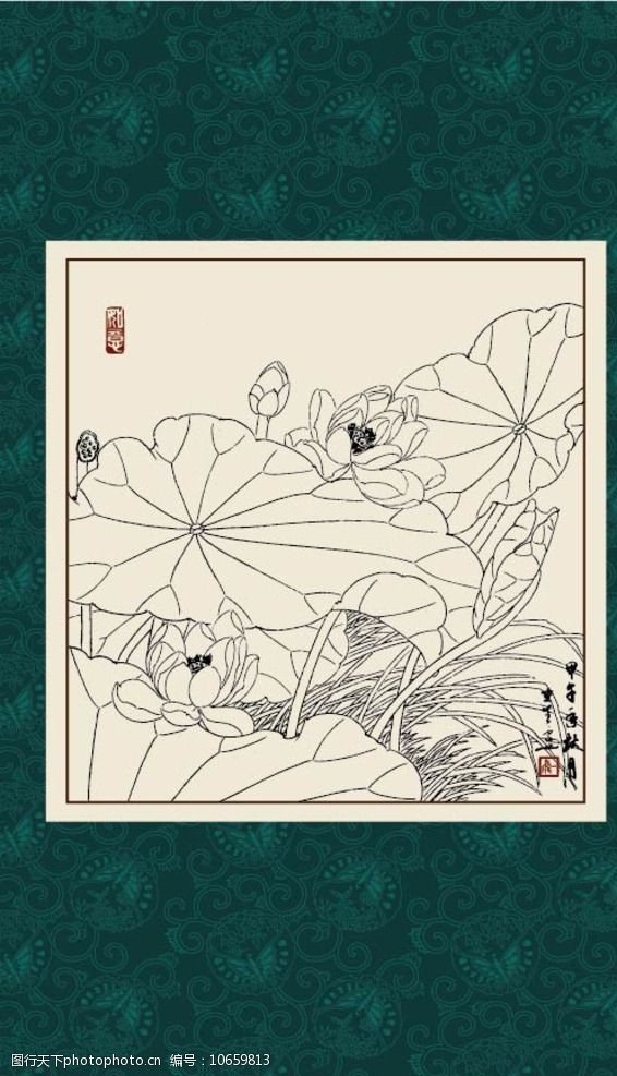 白描荷花圖片