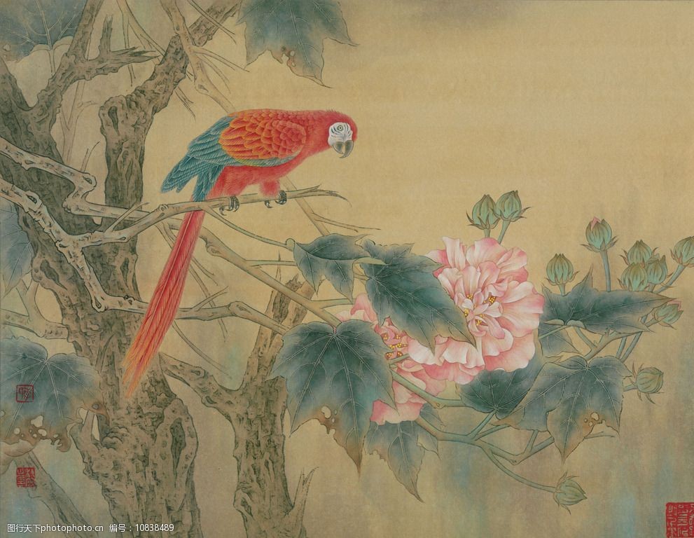 李科宏工笔芙蓉醉眼看花图片