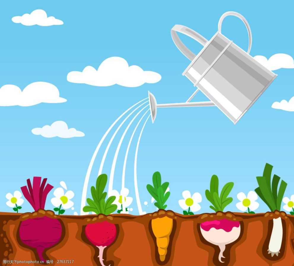 被浇水的蔬菜矢量素材